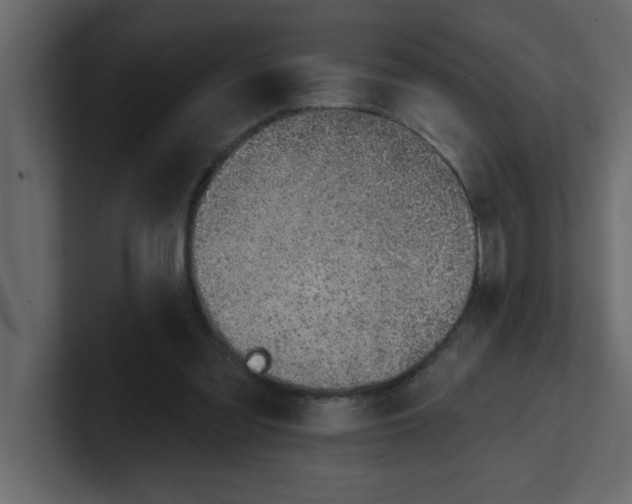 X0000100910301200807151144