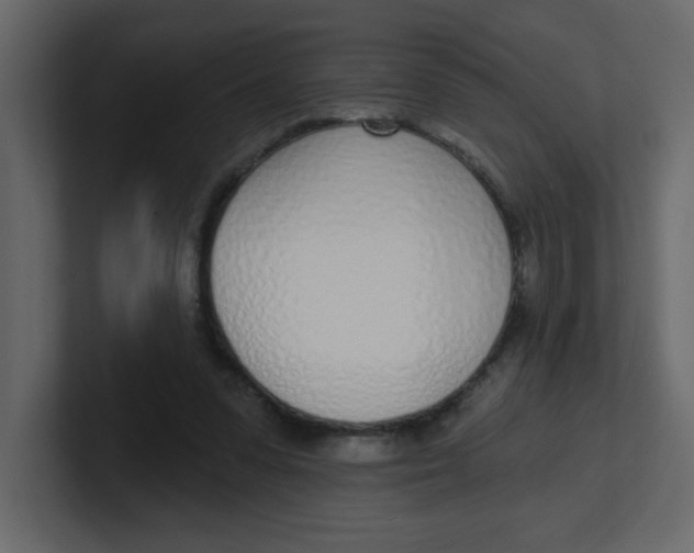 X0000100910303200807151144