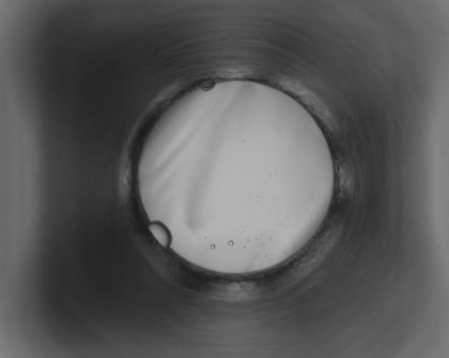 X0000100910304200807151144