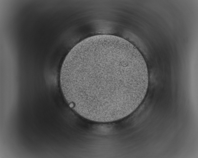 X0000100910305200807151144