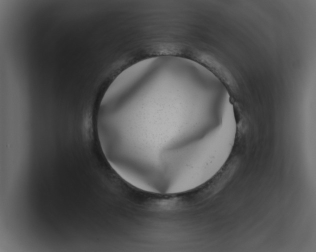 X0000100910306200807151144