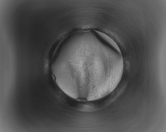 X0000100910308200807151144