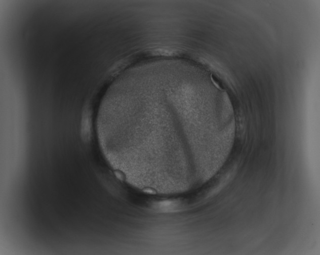 X0000100910312200807151144