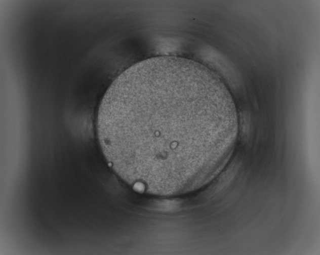 X0000100910313200807151144