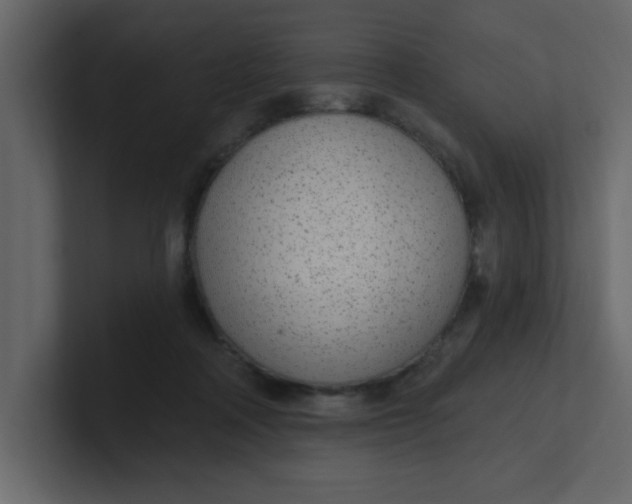 X0000100910314200807151144