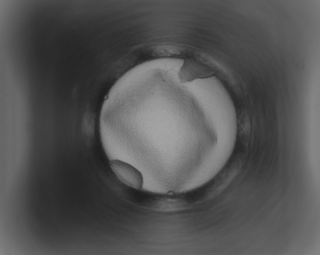 X0000100910315200807151144