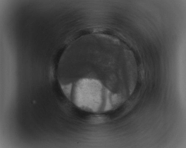 X0000100910316200807151144