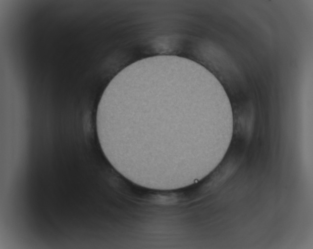 X0000100910317200807151144