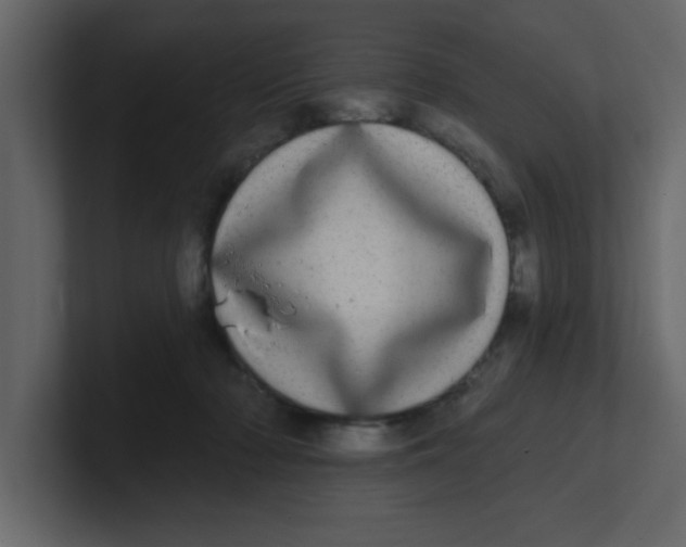 X0000100910318200807151144