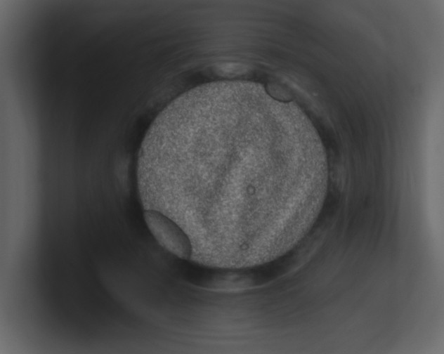 X0000100910319200807151144