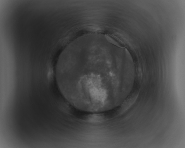 X0000100910320200807151144