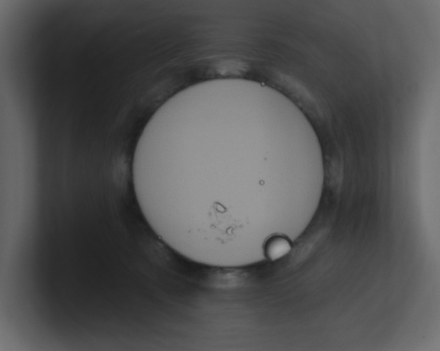 X0000100910321200807151144