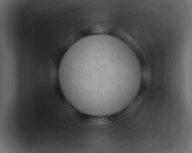 X0000100910322200807151144