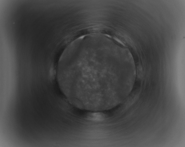 X0000100910324200807151144