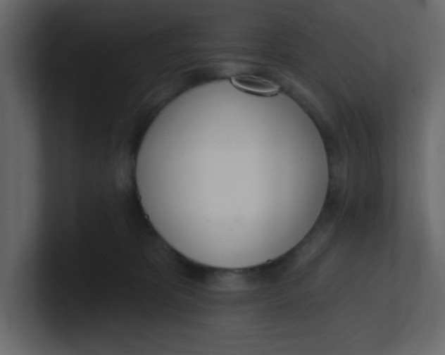 X0000100910325200807151144