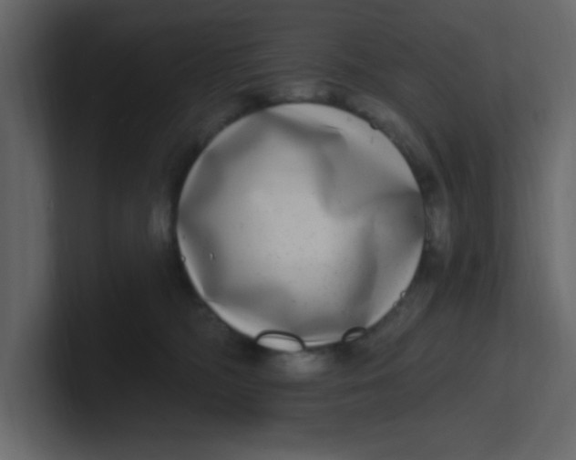 X0000100910326200807151144