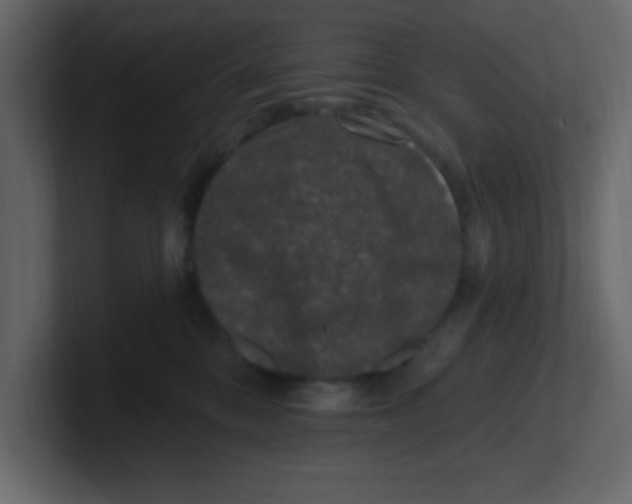 X0000100910328200807151144