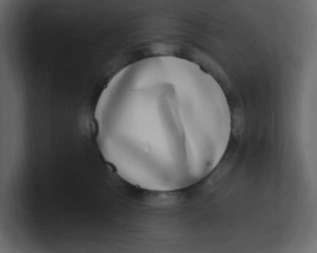 X0000100910329200807151144