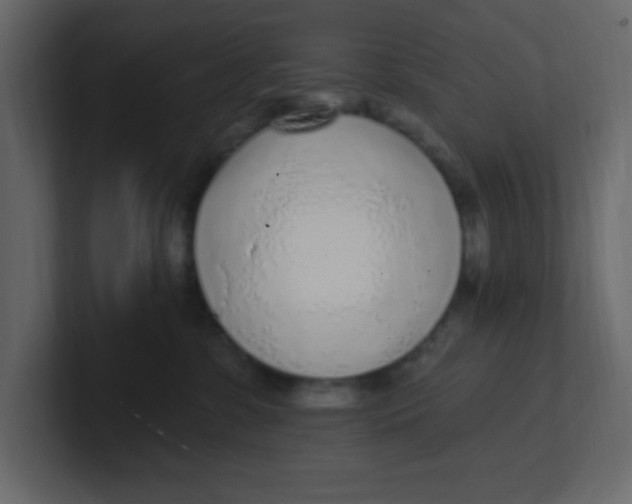 X0000100910331200807151144