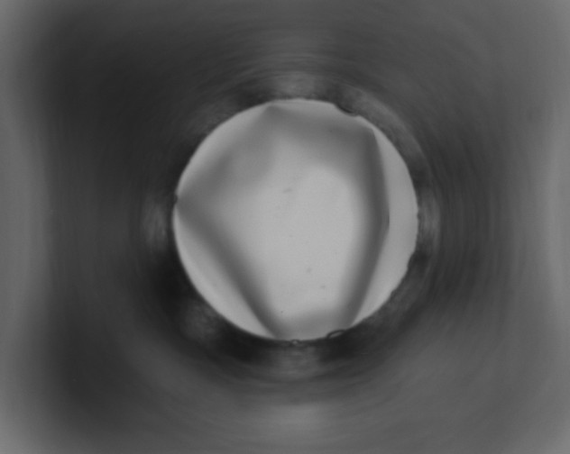 X0000100910333200807151144