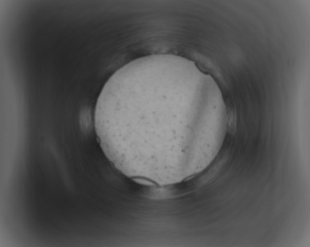 X0000100910335200807151144