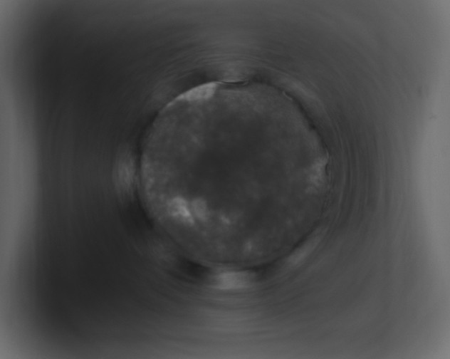 X0000100910336200807151144