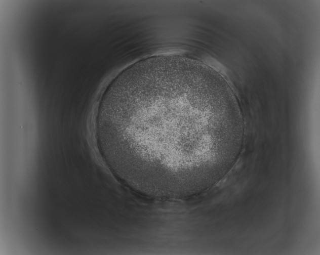 X0000100910337200807151143