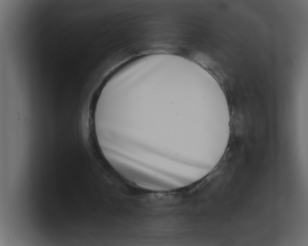 X0000100910338200807151143