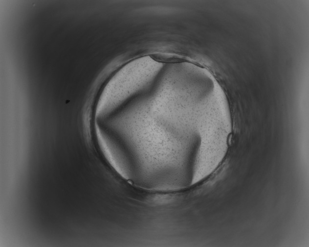 X0000100910341200807151143