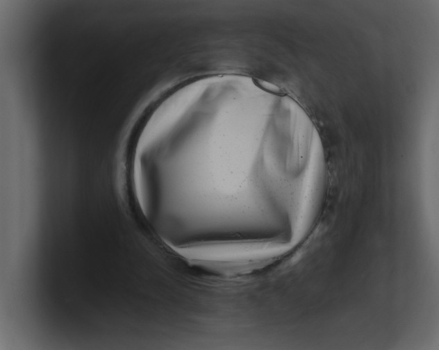 X0000100910342200807151143