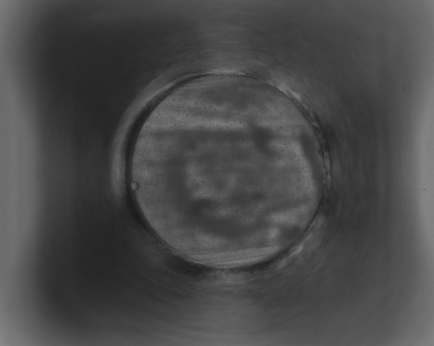 X0000100910343200807151143