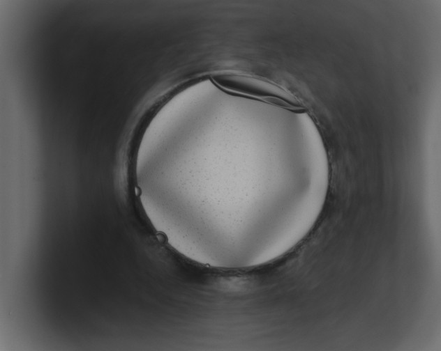 X0000100910344200807151143