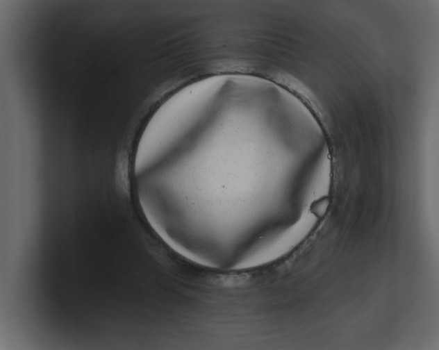 X0000100910345200807151143