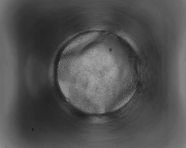 X0000100910346200807151143