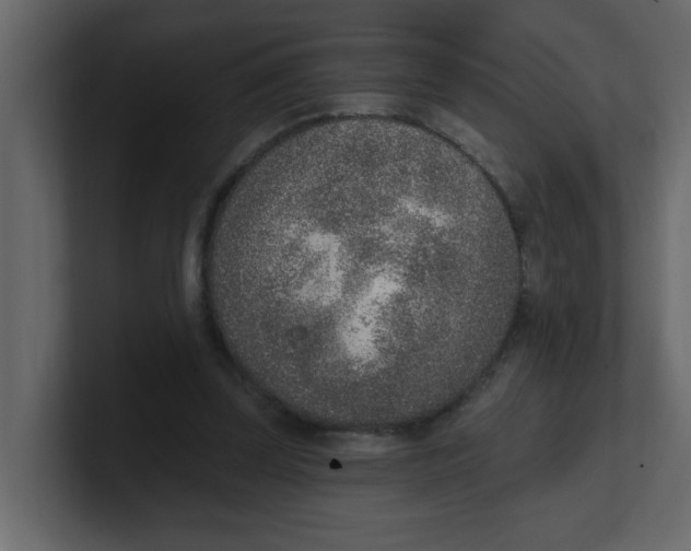 X0000100910347200807151143