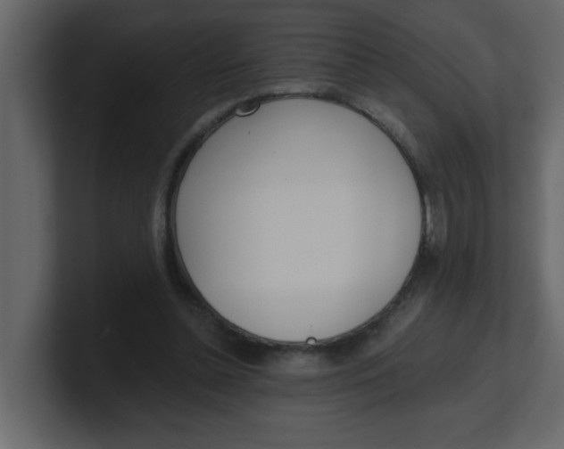 X0000100910348200807151143