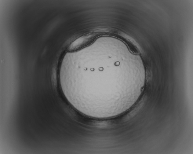 X0000100910349200807151143