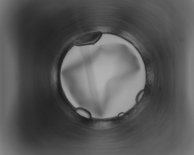 X0000100910350200807151143