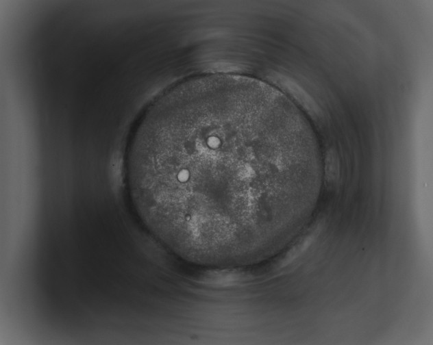 X0000100910351200807151143