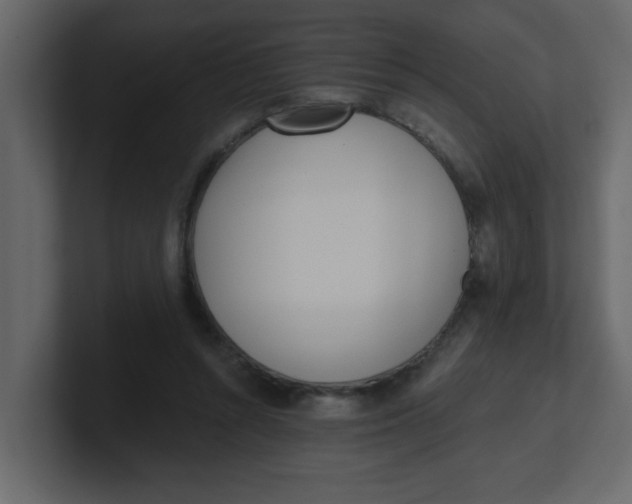 X0000100910352200807151143