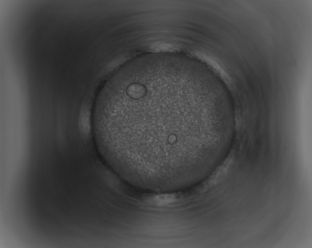 X0000100910353200807151143