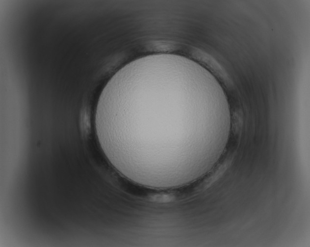 X0000100910358200807151143