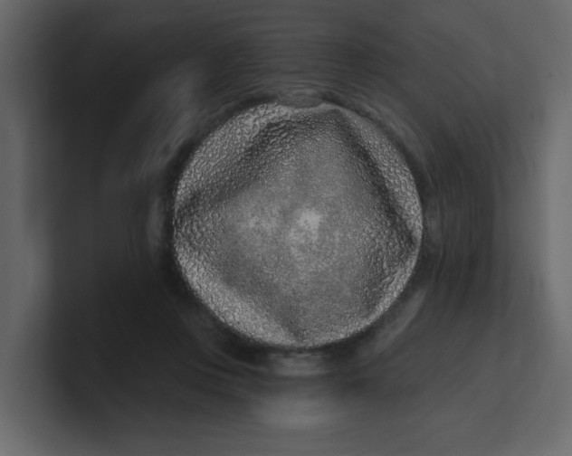 X0000100910359200807151143