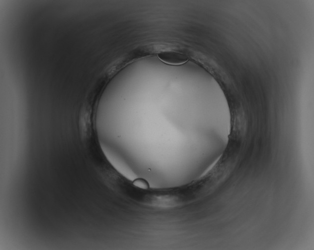 X0000100910360200807151143