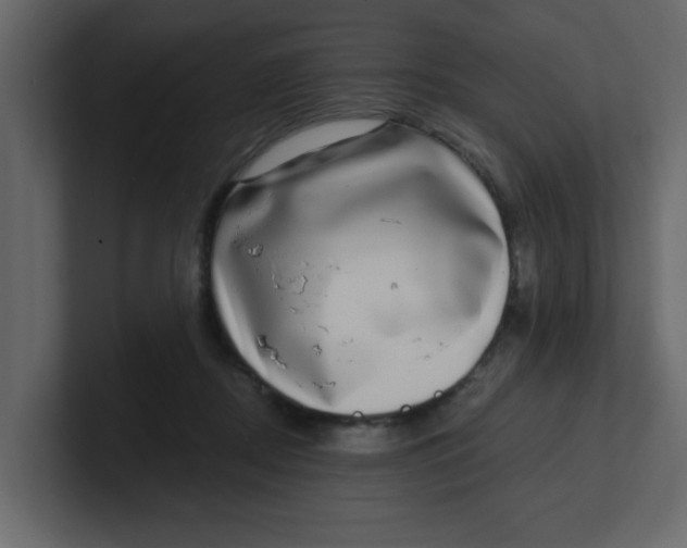 X0000100910362200807151143