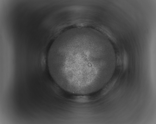 X0000100910363200807151143