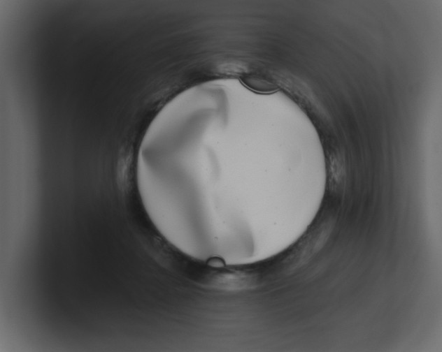 X0000100910364200807151144