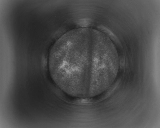 X0000100910365200807151144