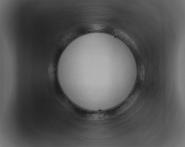 X0000100910366200807151144