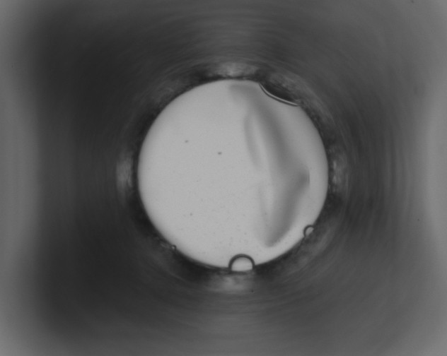 X0000100910368200807151144